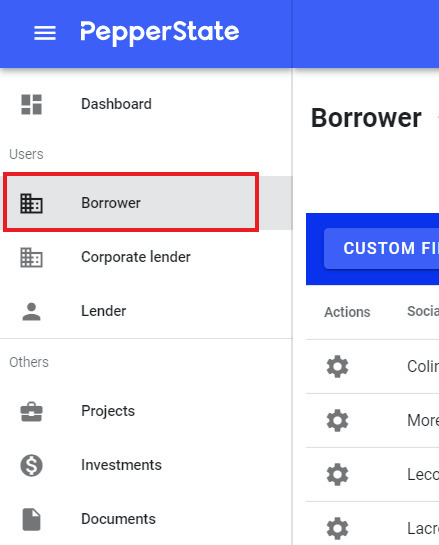 Borrower Tabs